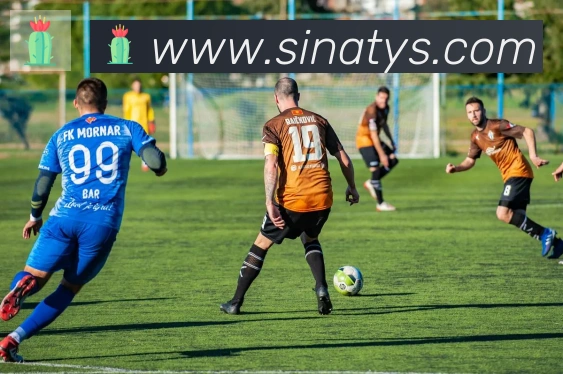 新浪体育平台生态图