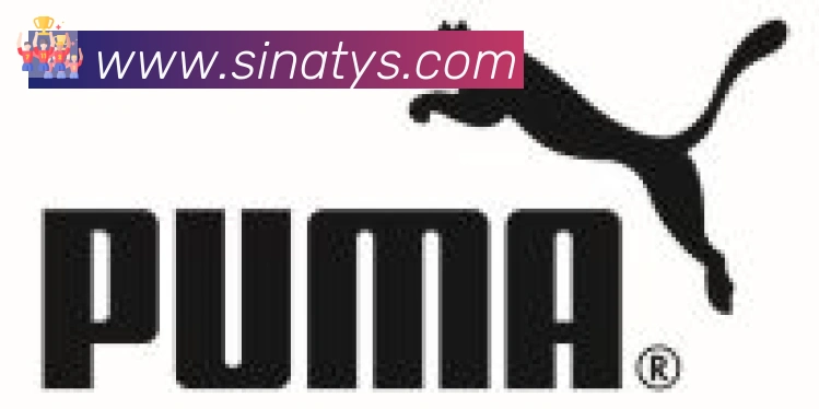 新浪体育合作伙伴